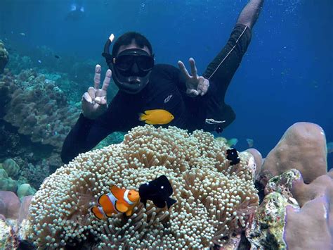 Snorkeling Surin Islands - Daily with Easy Day Phuket Tours