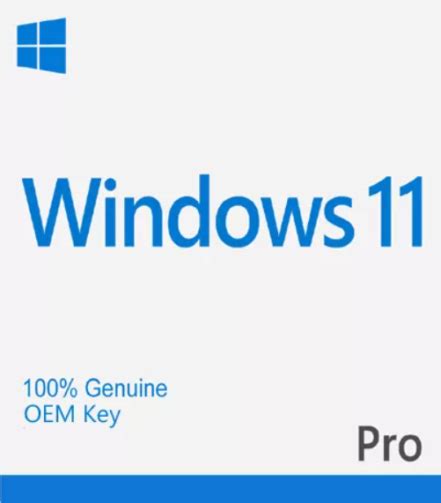 Windows 11 Pro License – OEM Key - DIGI WORLD