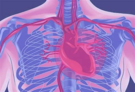 Angina Pectoris - Symptoms, Causes Treatment