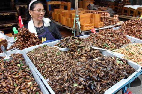 How to Eat Scary Insects, Worms, and Bugs in Thailand