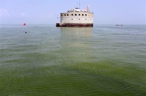 Algae Bloom Covers 700 Square Miles Of Lake Erie | Here & Now