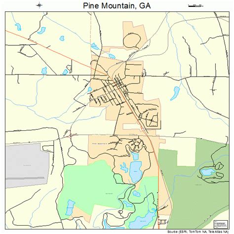 Pine Mountain Georgia Street Map 1361124