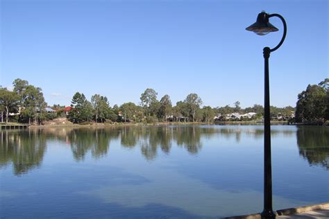 The Lake Parklands Forest Lake | Must Do Brisbane