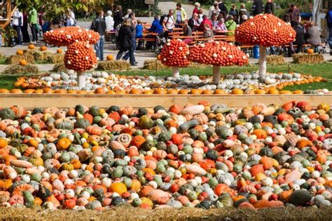 Pumpkin races, pumpkin art, & pumpkin cuisine! [Ludwigsburg, Germany]