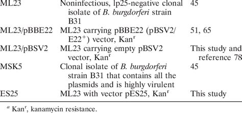 B. burgdorferi strains used in this study B. burgdorferi strain ...