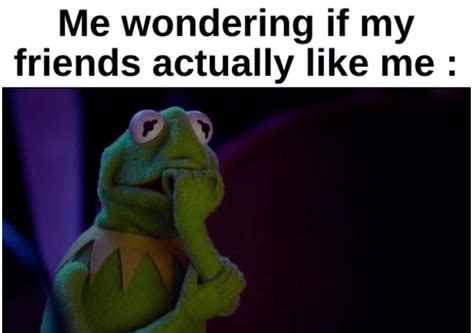 Kermit Memes: The Internet's Hilarious Love Affair with a Frog