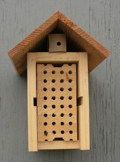 Orchard Mason Bee House Plans | plougonver.com