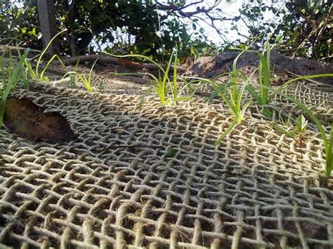 Soil Erosion Fabric at Marivel Mullican blog