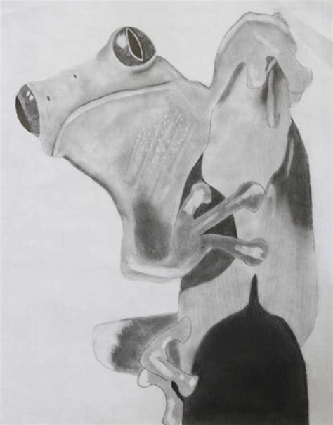 Student Art: Graphite Animals