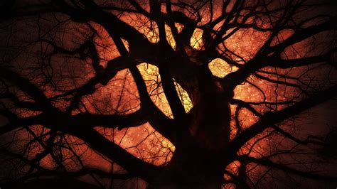 Leafless tree silhouette, artwork, trees HD wallpaper | Wallpaper Flare