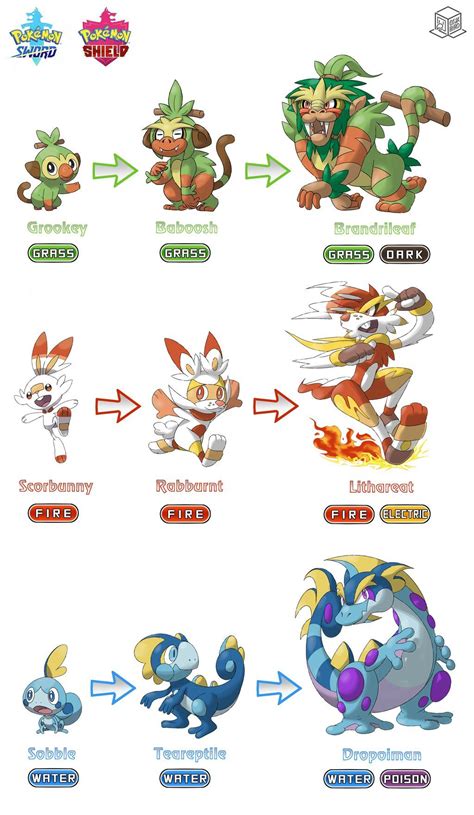 Pokemon Sword/Shield - Starter Pokemon Evolutions by BoxBird on DeviantArt | Pokemon, Pokemon ...