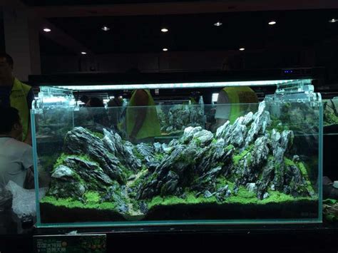 Lovely rocks Aquarium Landscape, Nature Aquarium, Aquascape Aquarium, Planted Aquarium ...