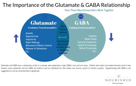 What is Glutamate – Nourished Blessings