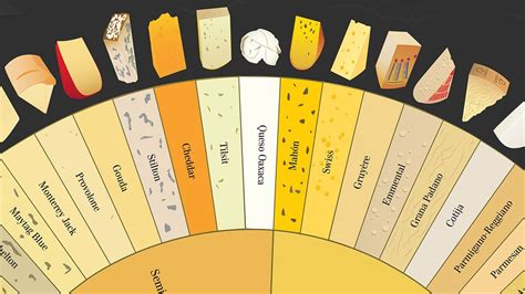 Infographic: How To Tell The Difference Between 66 Varieties Of Cheese ...
