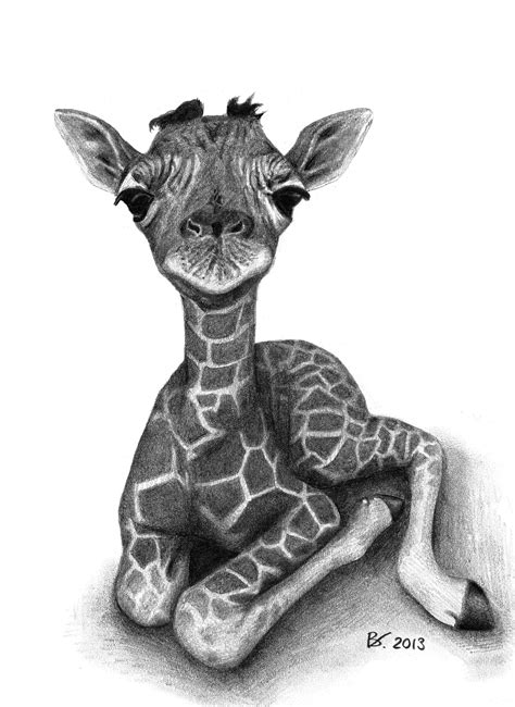 Drawing of a cute baby giraffe. Realism, animal, fine arts. Art by ...