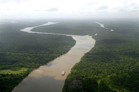 Cruise Down the Amazon River | Best Travel Experiences | POPSUGAR Smart Living Photo 67