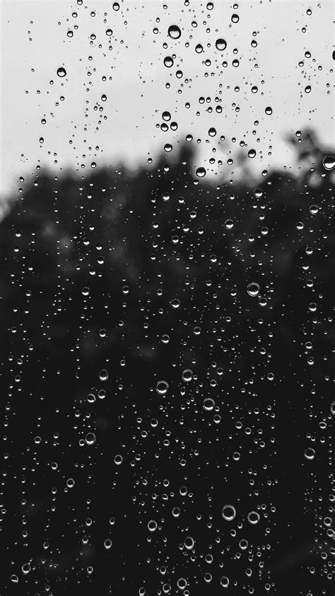 wet rain black and white and raindrop hd, 4k Phone HD Wallpaper