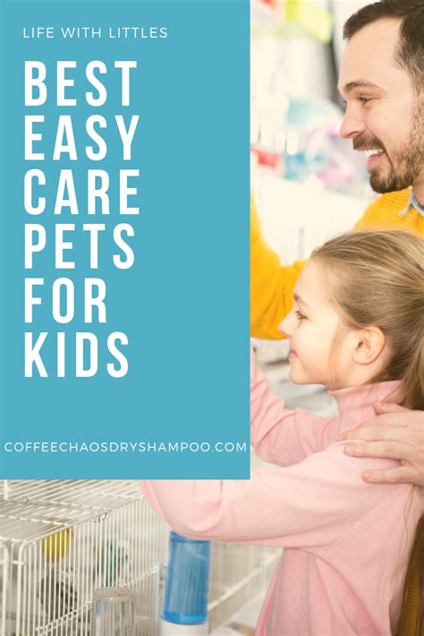 6 low maintenance pets that are easy to care for. Both moms and kids ...