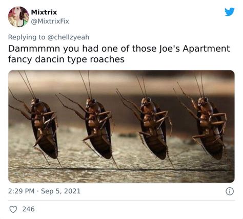 Texas Woman Shares How Her Landlord Painted Over A Roach And The Internet Responds With These 30 ...