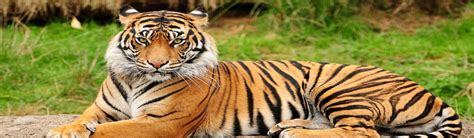 Classic India Wildlife Tour Package - 27 Nights & 28 Days