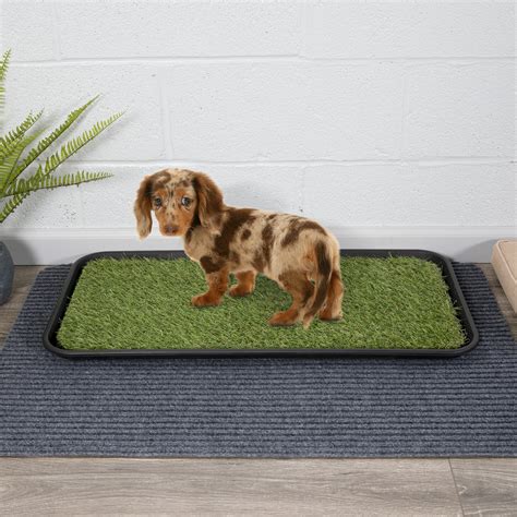 Ottomanson Pet Care Non-Slip Easy Clean Indoor/Outdoor Tray with Reusable Grass Pad, 15" x 30 ...