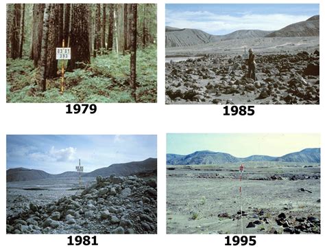 Mount Saint Helens Eruption Before And After