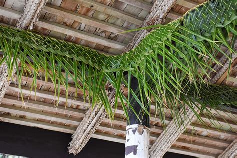 Fijian bure decoration : palm tree leaf woven together for wedding in Fiji. | Fiji, Outdoor ...