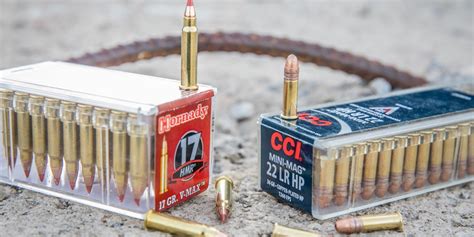 .22 vs. .17 HMR: Which Cartridge is Better?