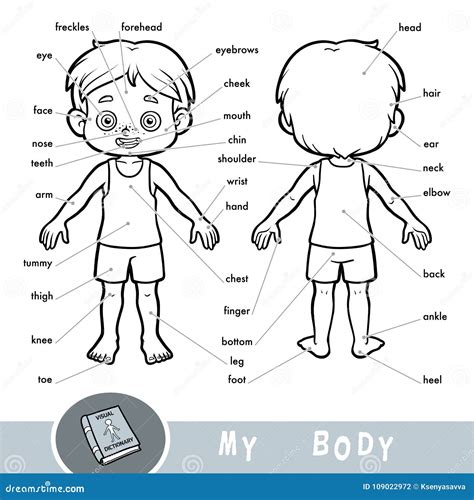 Visual Dictionary Human Body My Head Parts Boy Clipart And Illustrations