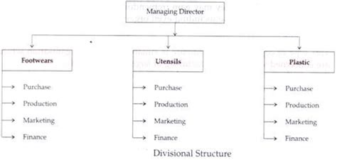 Organisational Structure: Functional Structure and Divisional Structure