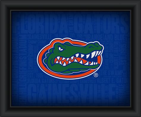 University of Florida "College Logo Plus Word Clouds" - 15 x 18 Framed Print - Plaques & Signs