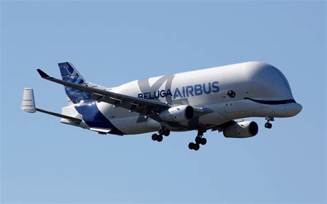 Meet the Beluga: Airbus's Flying Whale of a Cargo Plane | The National Interest