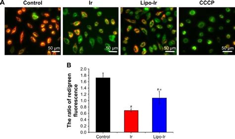 GenieHTS JC-10 Mitochondrial Membrane Potential Assay Kit, 60% OFF