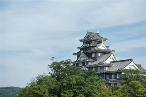 Japanese Castles - Feudal Heritage and Fortresses of the Archipelago