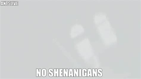 Antslive No Shenanigans GIF - Antslive No Shenanigans No Drama ...