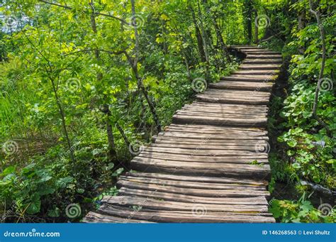 Wooden Hiking Trails in Plitvice Lakes National Park Stock Image - Image of landscape, clean ...