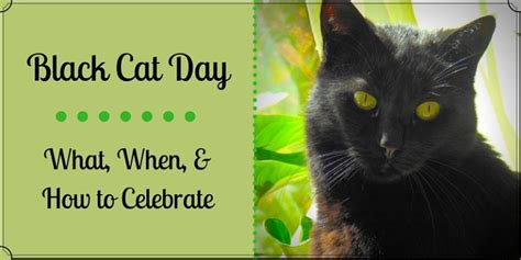 Black Cat Day – What, When & How to Celebrate – Black Cat Gifts