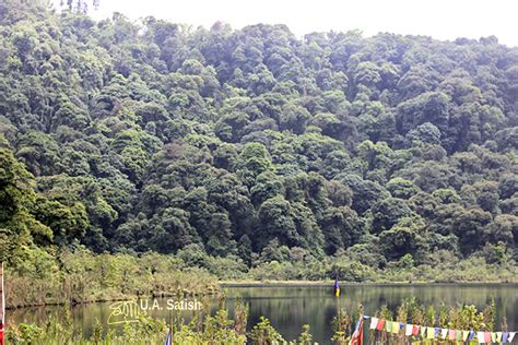 Khecheopalri Lake - Sacred Lake in Sikkim - U.A. Satish