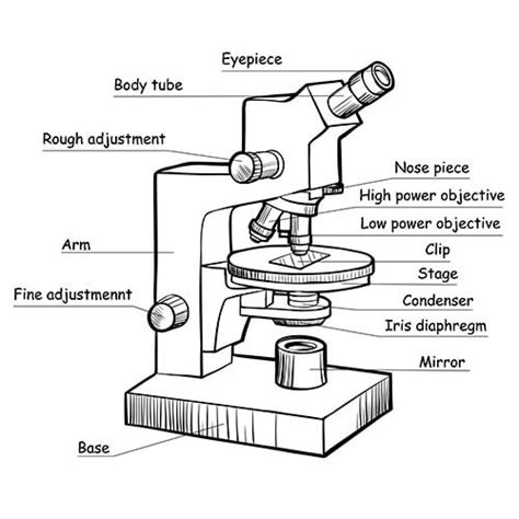 What's The Difference Between Condenser And Diaphragm at Robert Nunez blog