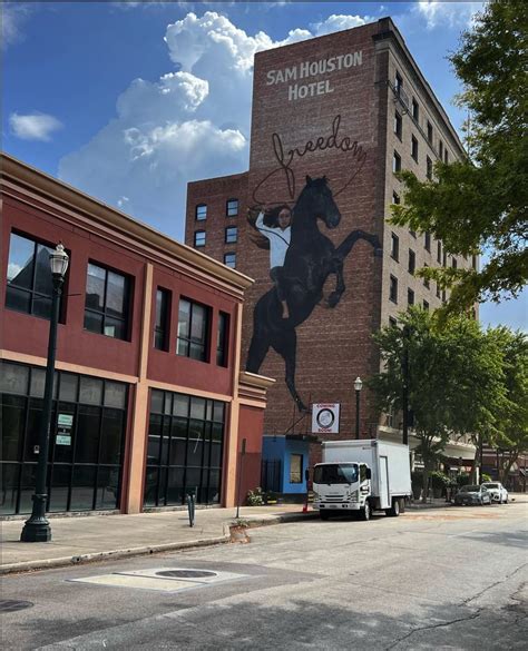 Nine New Murals Unveiled in Downtown Houston Exhibit | Glasstire