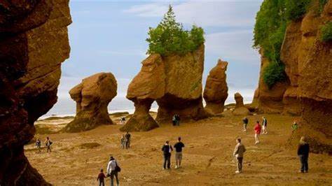 Un joyau naturel de la baie de Fundy s’effondre – RCI | Français