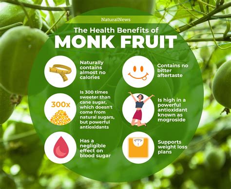 Why monk fruit is the best sugar substitute yet discovered – NaturalNews.com