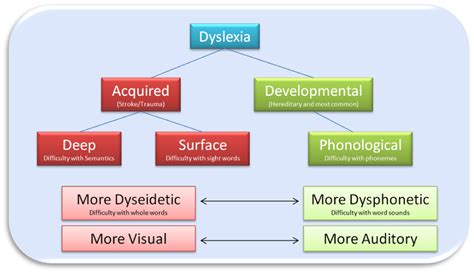 Types of Dyslexia