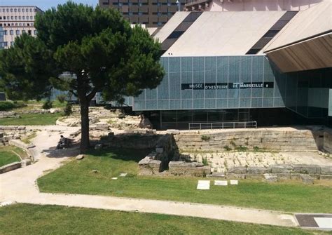 The Best Marseille Museum of Natural History (Muséum d'Histoire ...