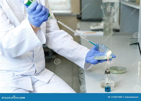 Laboratory Assistant Analyzes Bacterium Sample Using Medical Equipment in a Bacteriology Clinic ...