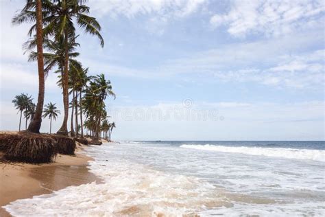 Lekki Beach in Lagos stock photo. Image of vacation, tropics - 45307028