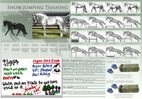 Show Jumping Training Template Example by Decorum100 on DeviantArt