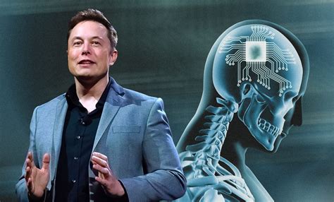 Elon Musk’s Neuralink Fined for Storing Hazardous Materials Without ...