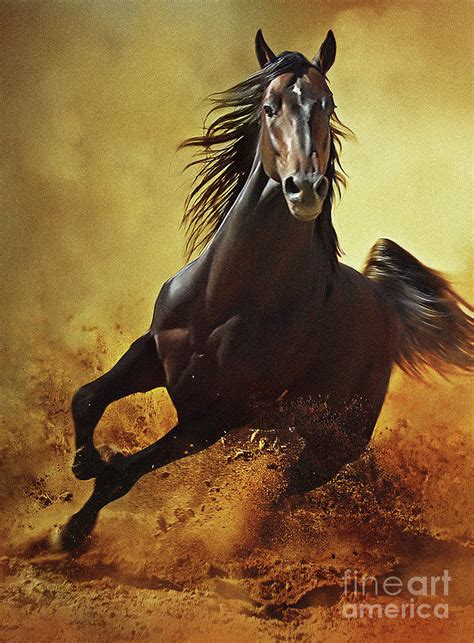 Galloping Horse at Sunset in Dust Photograph by Dimitar Hristov - Fine Art America