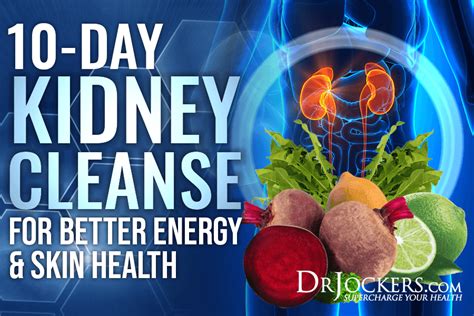 10-Day Kidney Cleanse For Better Energy & Skin Health - DrJockers.com